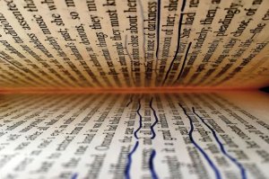 literary-studies-photo-2